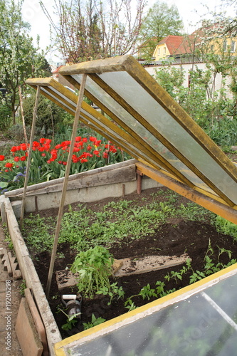 Hotbed with seedlings