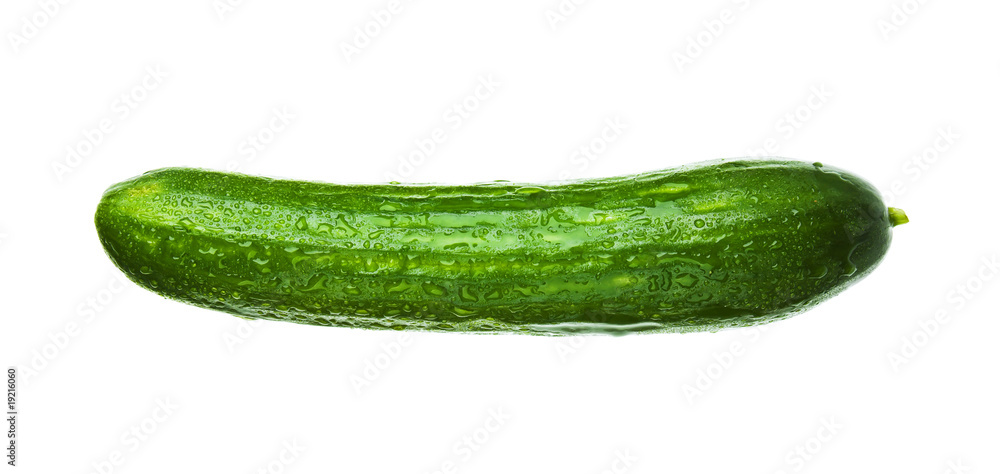 fresh cucumber isolated on a white background fresh cucumber isolated on a white background