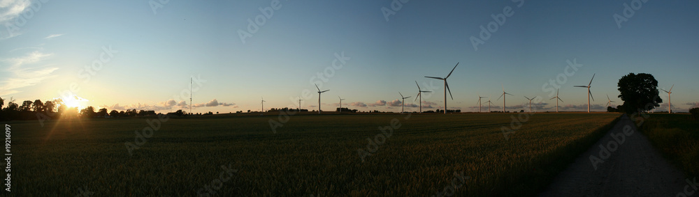 Fototapeta premium windradlandschaft
