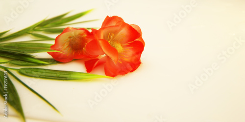 fleur rouge en textile