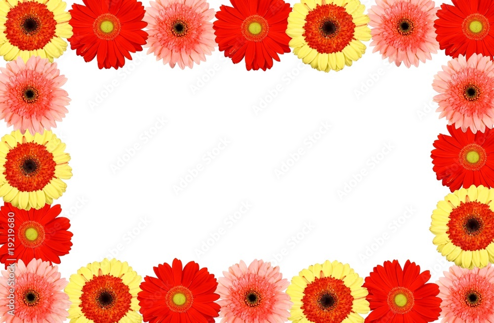 Isolate beautiful frame flower Isolate beautiful frame flower
