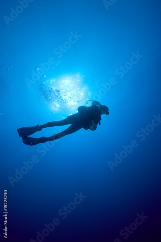 Plongeurs dans le bleu, mer tropicale