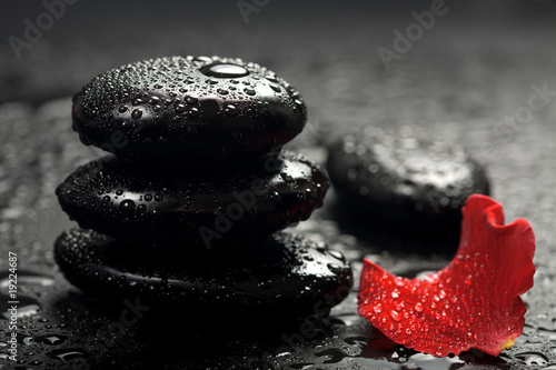 spa stones and rose petals over black background