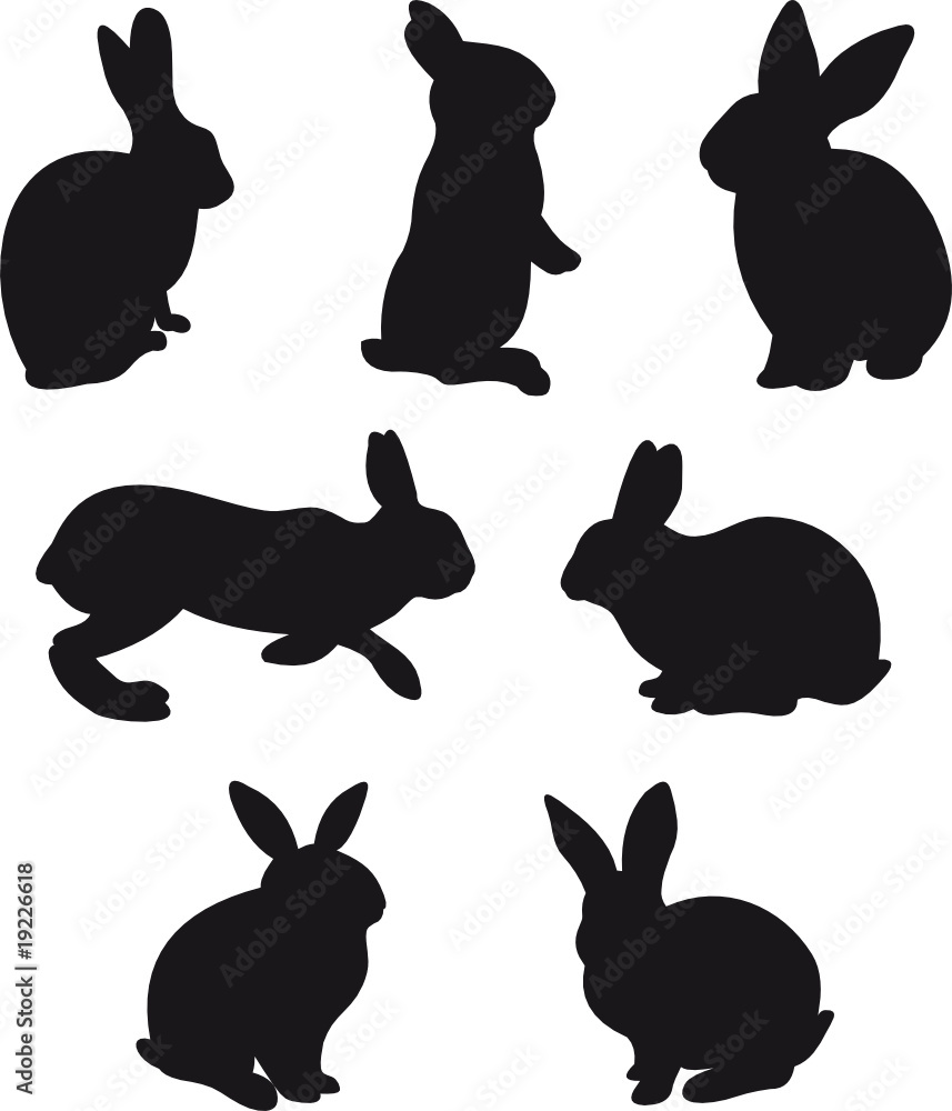 Fototapeta premium Rabbit vector