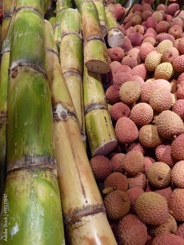 canne à sucre et lychees