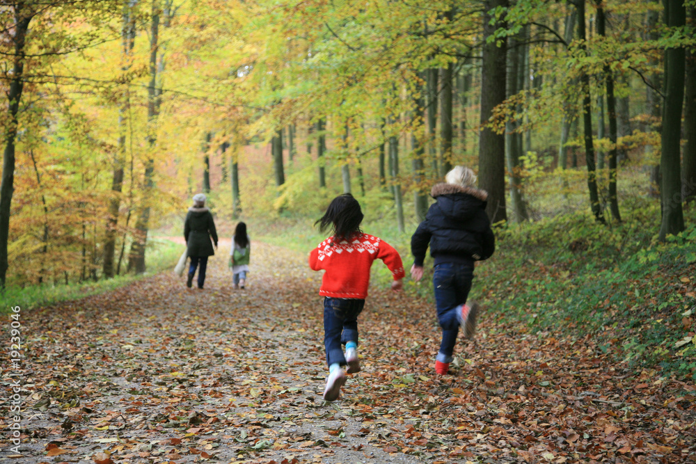 Fototapeta premium child outdoor in forest