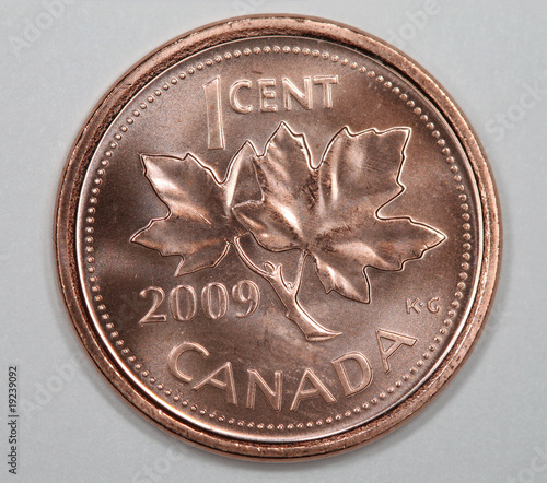 close-up of 2009 Canadian penny