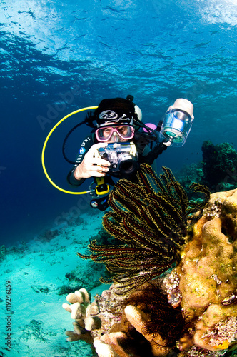 Plongeuse avec appareil photo, Aise, Lembeh