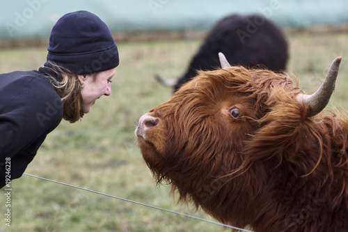 The Woman and the Highland Cow photo