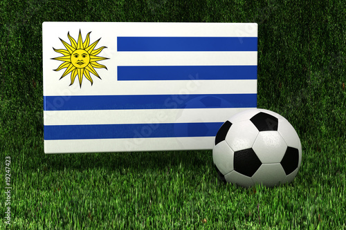 Uruguay Soccer