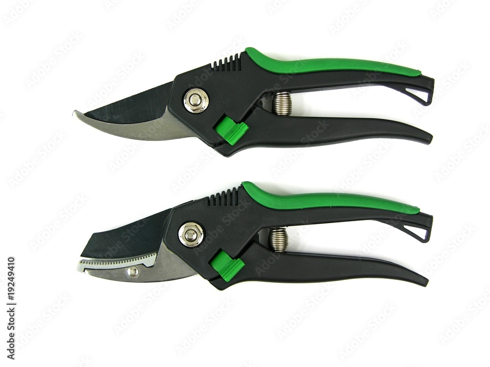 Obraz premium Gartenschere - Rosenschere