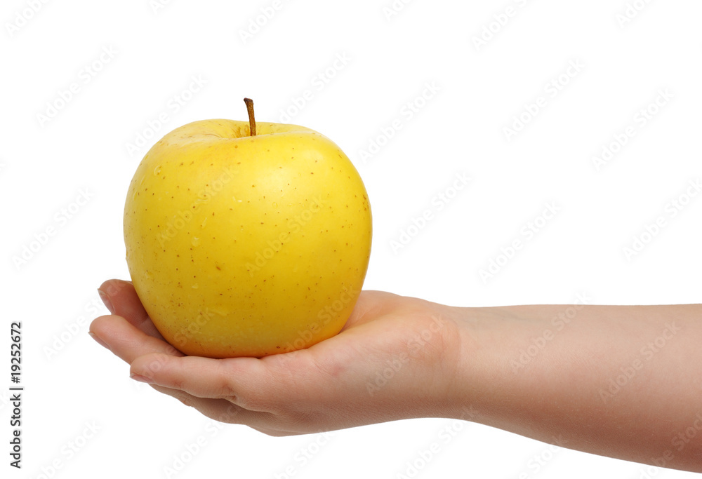 Yellow apple on hand