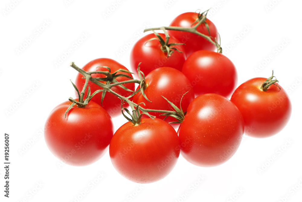 Fresh red tomatoes on the vine Fresh red tomatoes on the vine