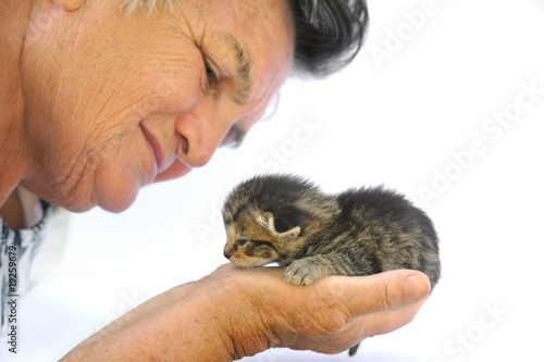 Senior woman holding kitten