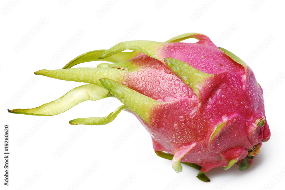 Wet pitaya Wet pitaya