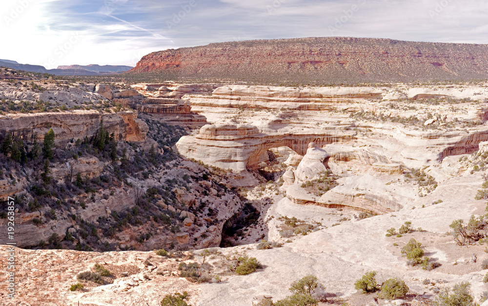 Natural Bridges National Park