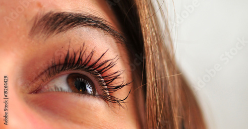 regard