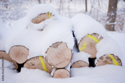 snowy winter photo