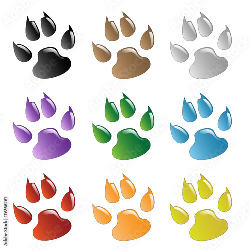 Paw Prints