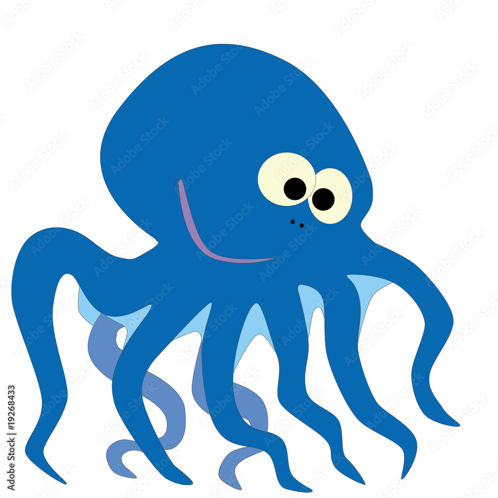 octopus octopus
