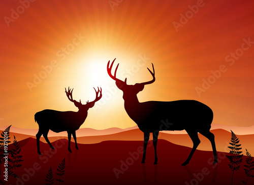 Deer on sunset background © iconspro