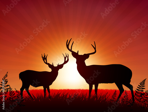 Deer on Sunset Background