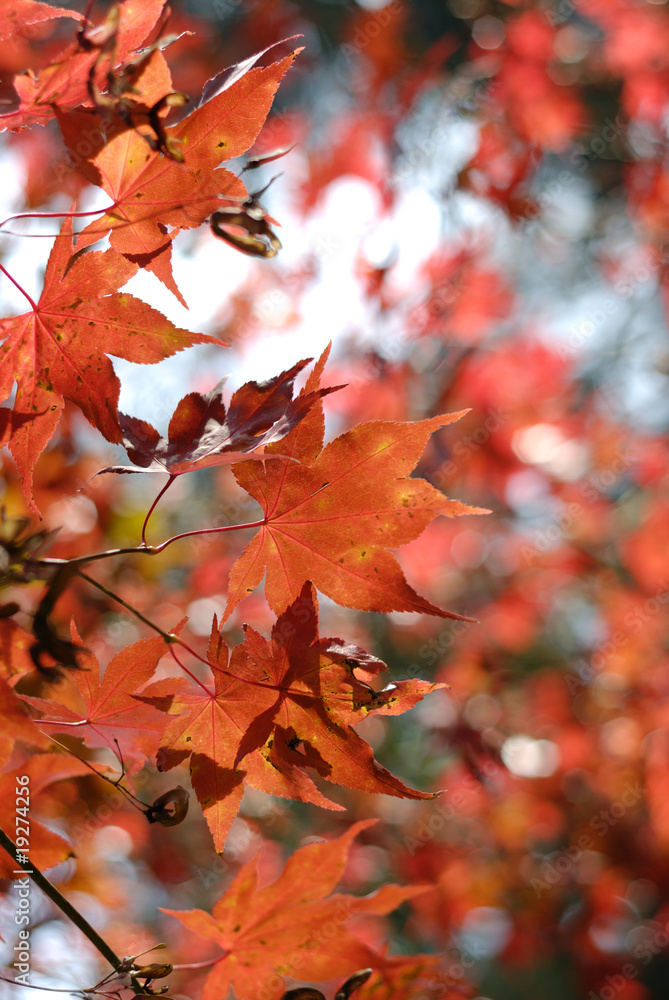 Herbst Herbst