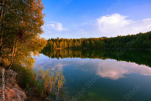 Sunny autumnal forest near the lake