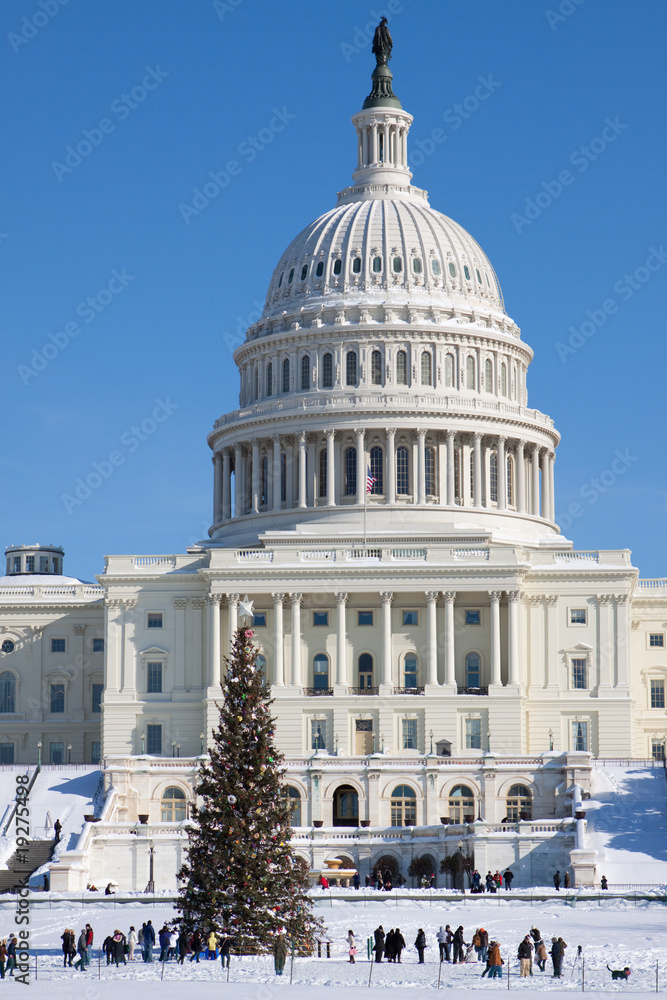 Fototapeta premium Capitol Building, winter