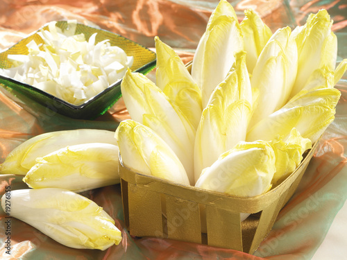Photos endives