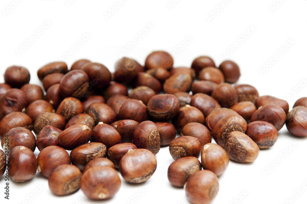 Chestnut Chestnut