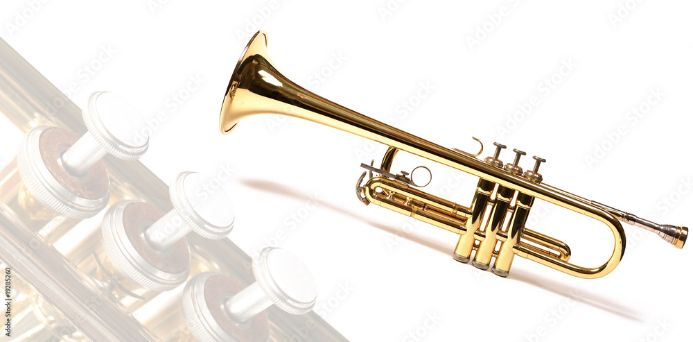 Obraz premium trompette