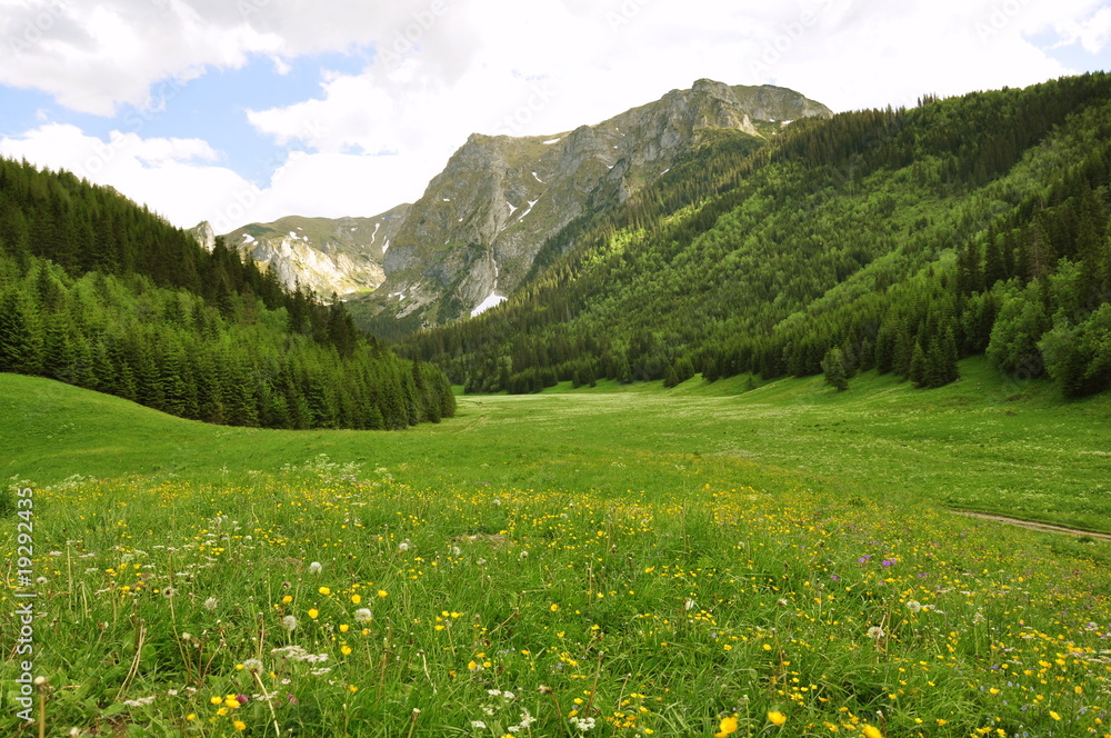 Tatry Dolina Białej Łąki