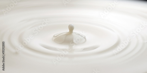 Quadro su tela Téton de lait