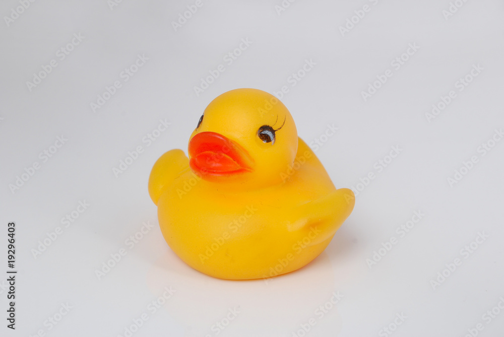 duck duck
