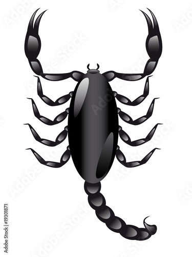 scorpion
