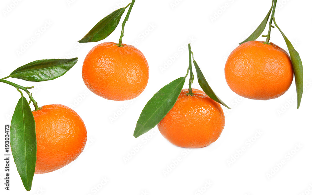 fresh tangerine fruits fresh tangerine fruits