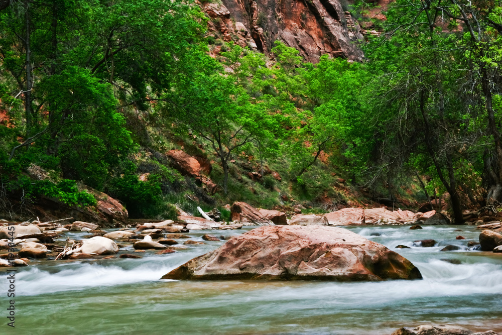 Fototapeta premium River in Zion Canyon