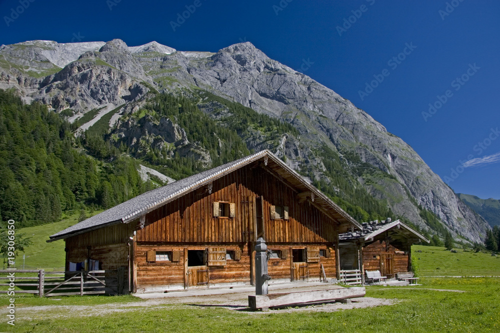 Engalmen in Tirol