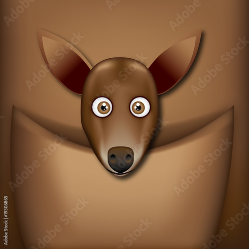 Cabeza de cria de canguro