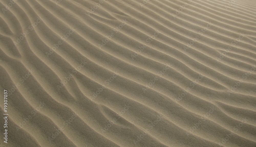 Sand in Bewegung Sand in Bewegung