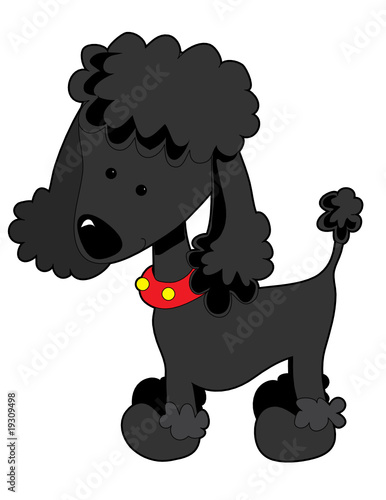 Poodle Black
