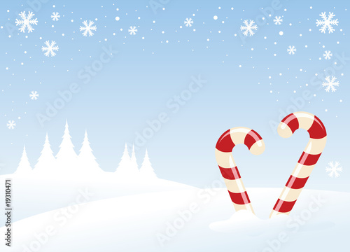 North pole