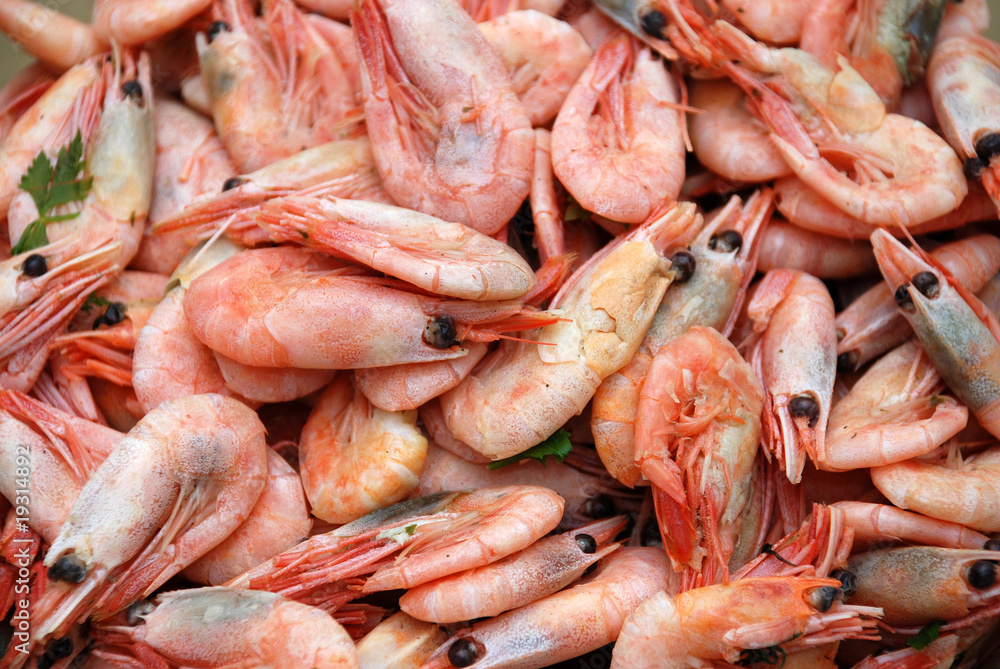 Boiled shrimps texture