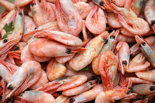 Boiled shrimps texture © Kemeo
