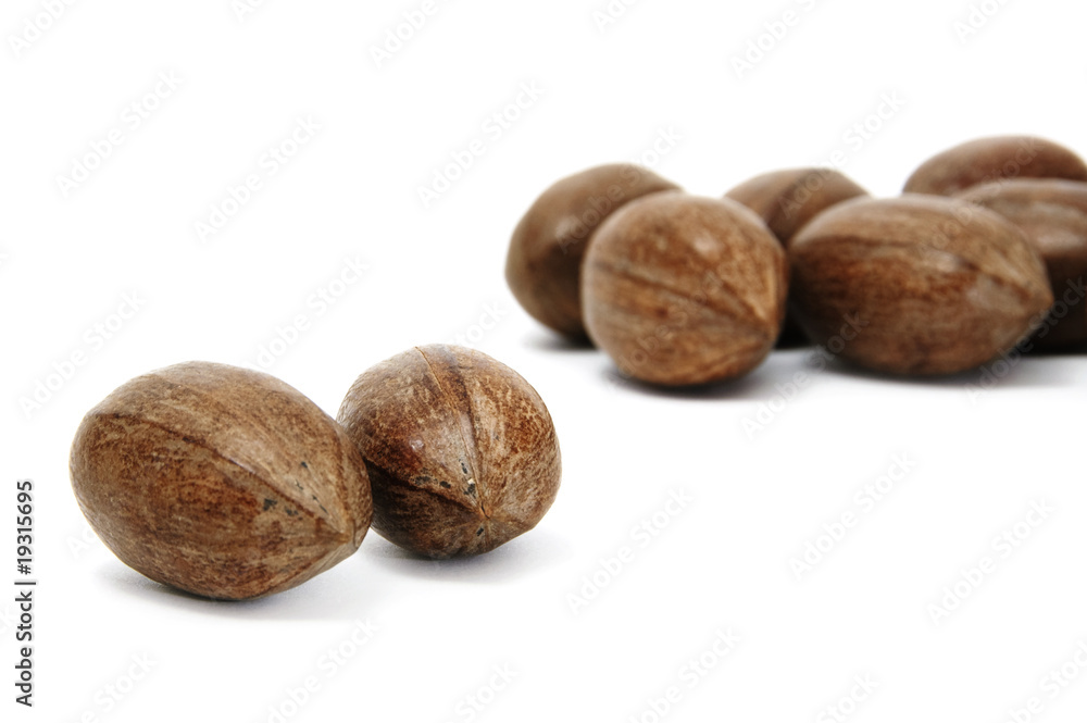 brown pecan nuts on the white background