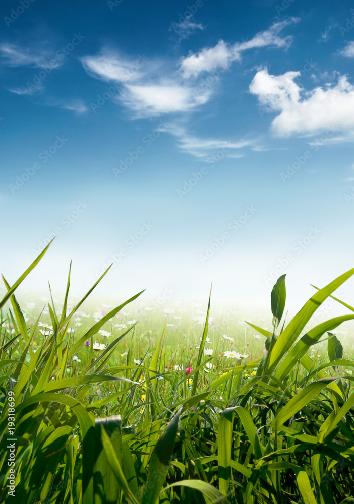 Obraz premium idyllic landscape