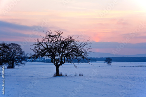 Schneelandschaft