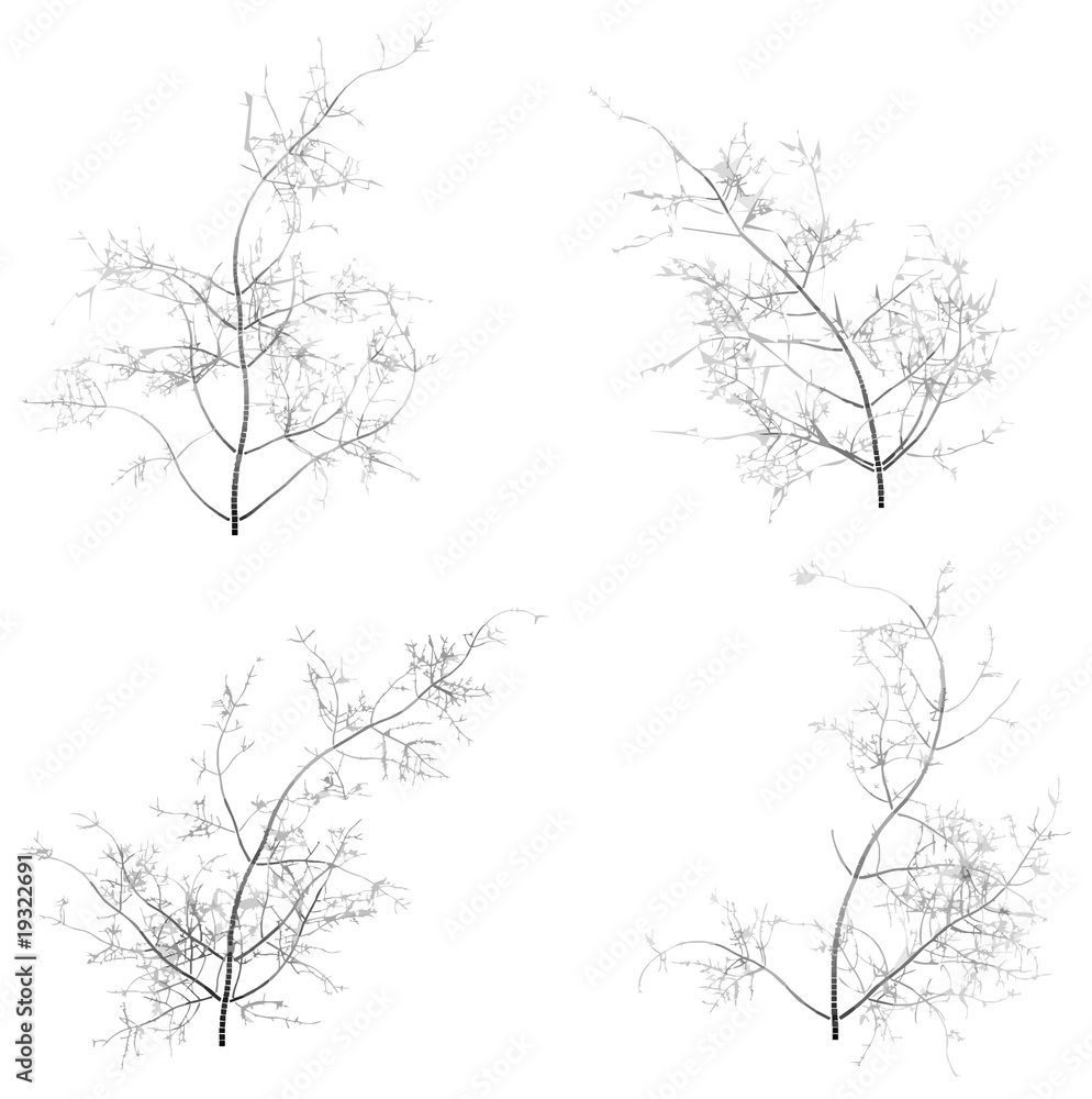 Fototapeta premium Some trees