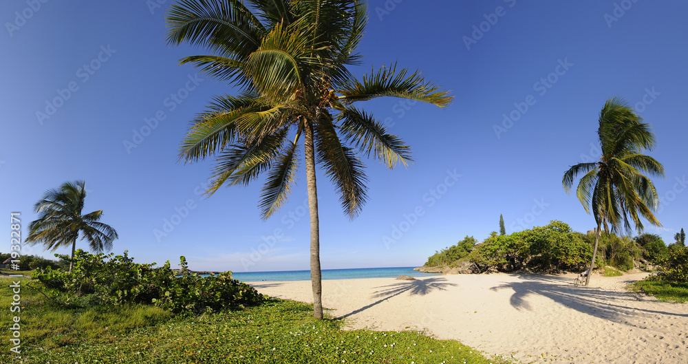 Obraz premium Tropical beach with vegetation panorama